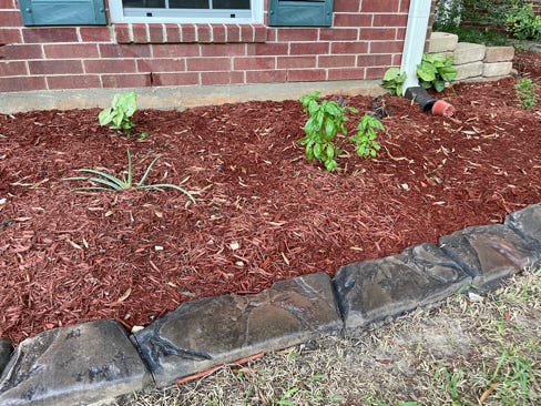 All-Curbs, stone curd, mild carve