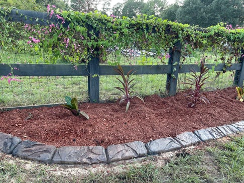 All-Curbs, stone curd, medium carve